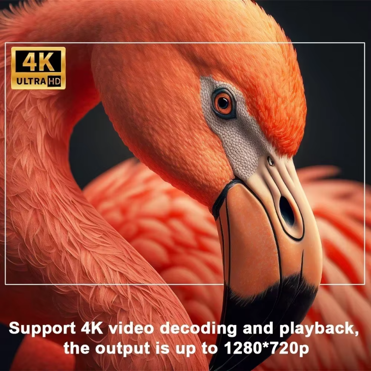 Proyector Android 11 4K WiFi Incluye Magis