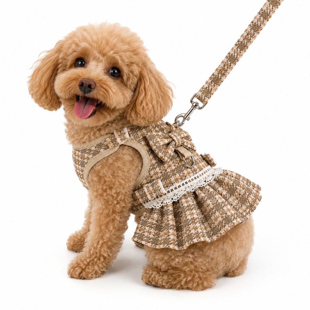 Correa Arnés Estilo Vestido para Perro Pequeño