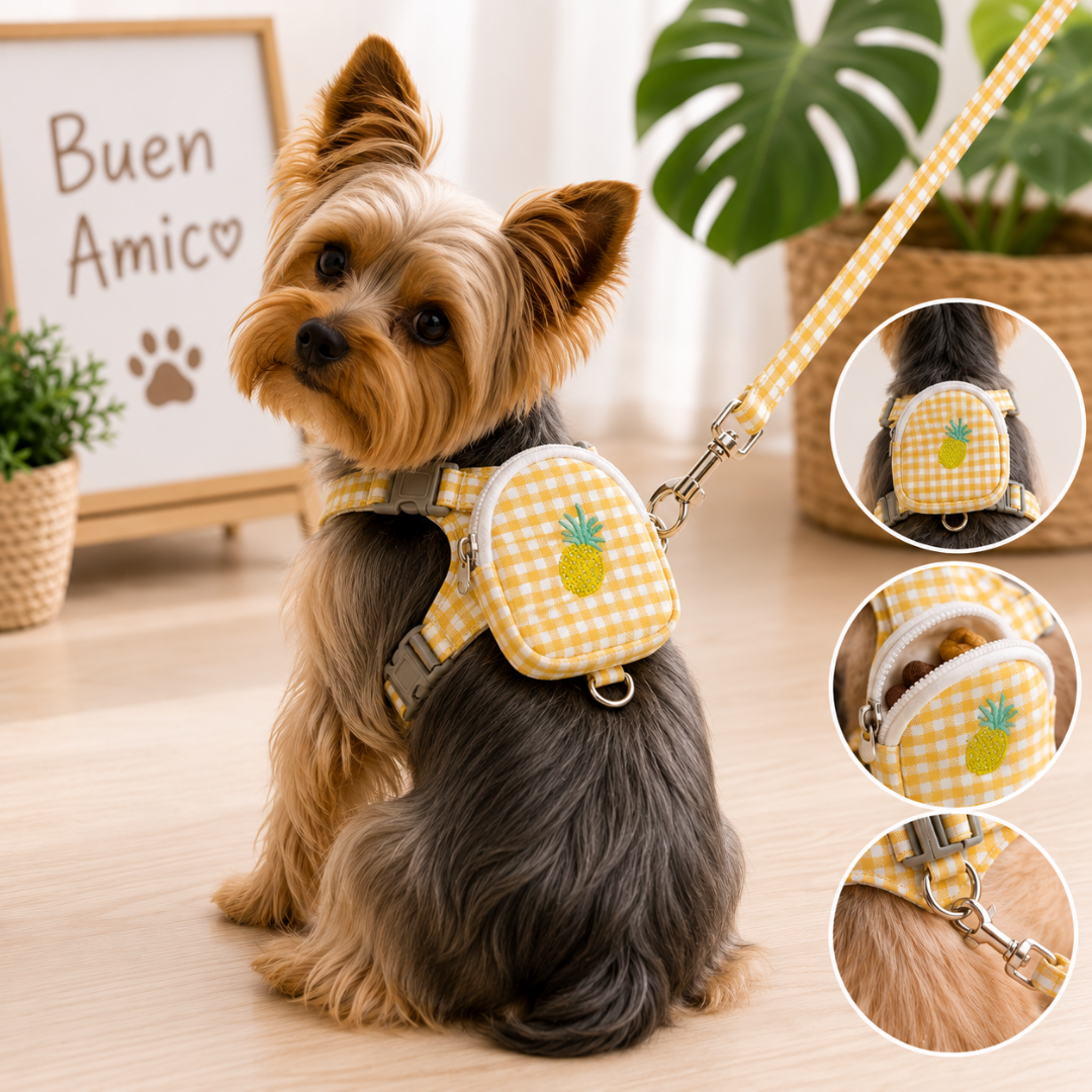 Arnés para Perro con Correa y Bolsillo Porta Snacks