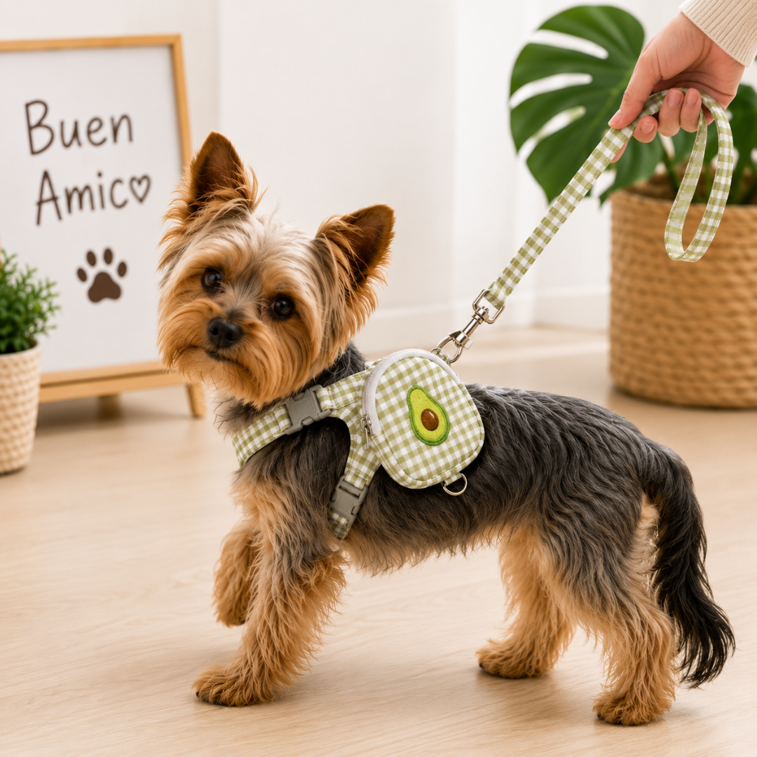 Arnés para Perro con Correa y Bolsillo Porta Snacks