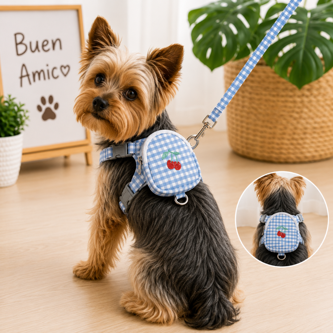 Arnés para Perro con Correa y Bolsillo Porta Snacks