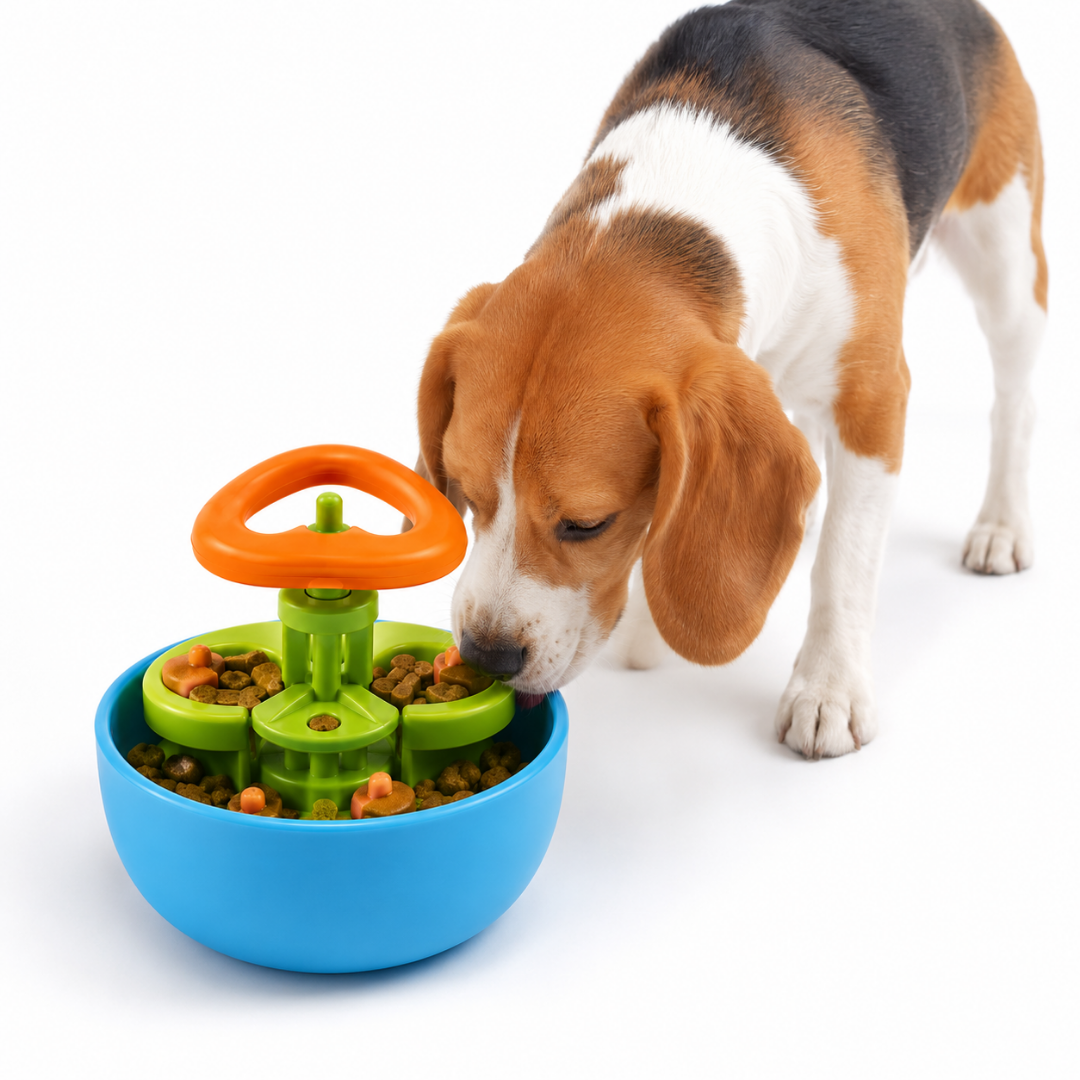 Comedero Interactivo para Perros y Gatos