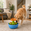 Comedero Interactivo para Perros y Gatos